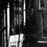 Richard's greenhouse