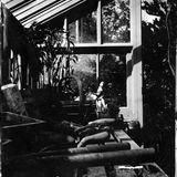 inside Richard's greenhouse