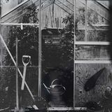 Jane's Greenhouse
