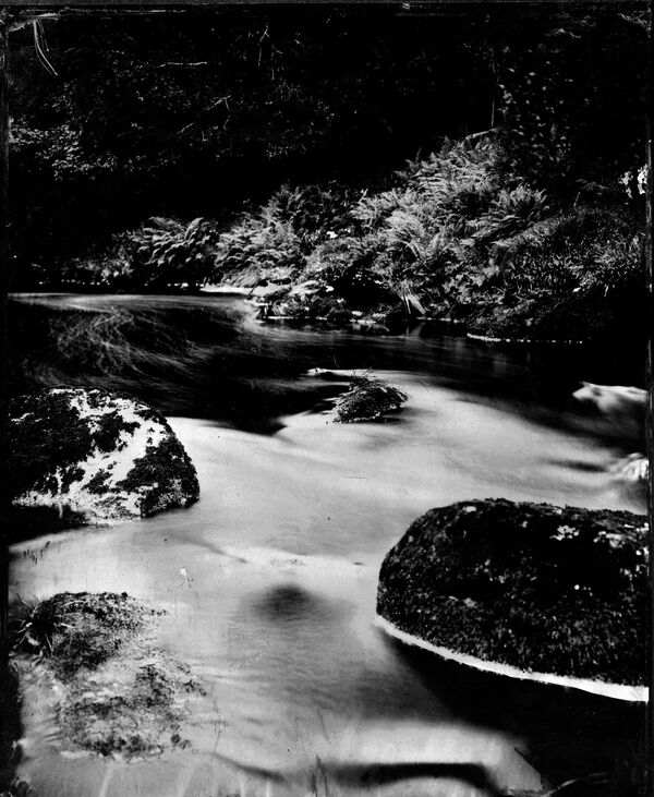 Wild Swimmers - The River