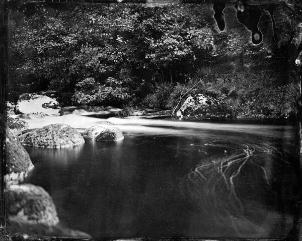 Wild Swimmers - The River 2