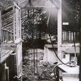 Inside Lesley's greenhouse
