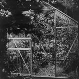 Marieke's greenhouse