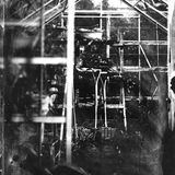Looking into my greenhouse
