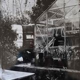 Spin and Digger's greenhouse