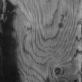 wooden panel in greenhouse