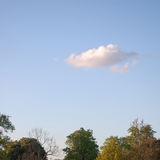 Puff Cloud