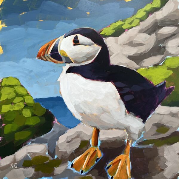 Atlantic Puffin: Tidal Watch