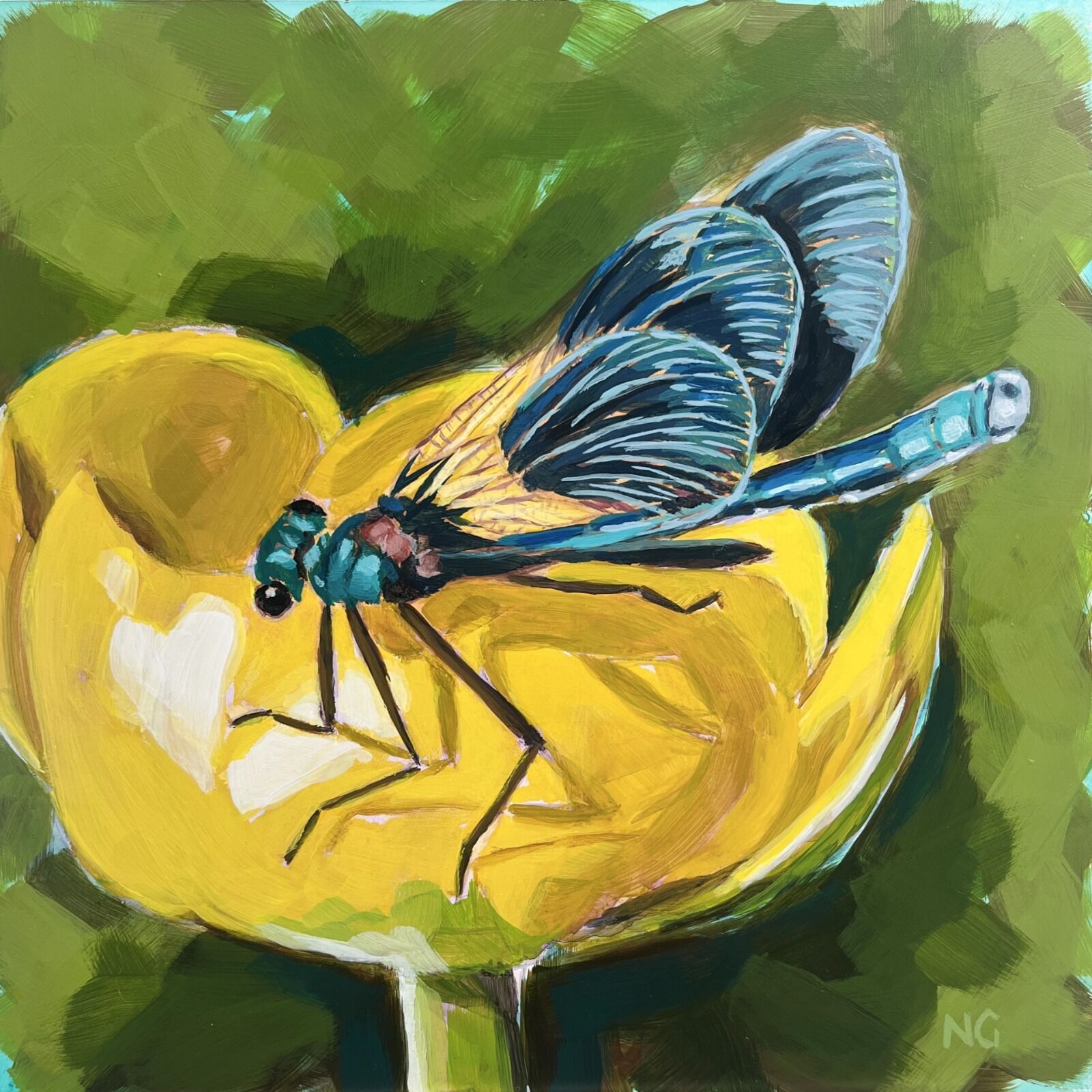 Banded Demoiselle: Shining Blue (Damselfly)