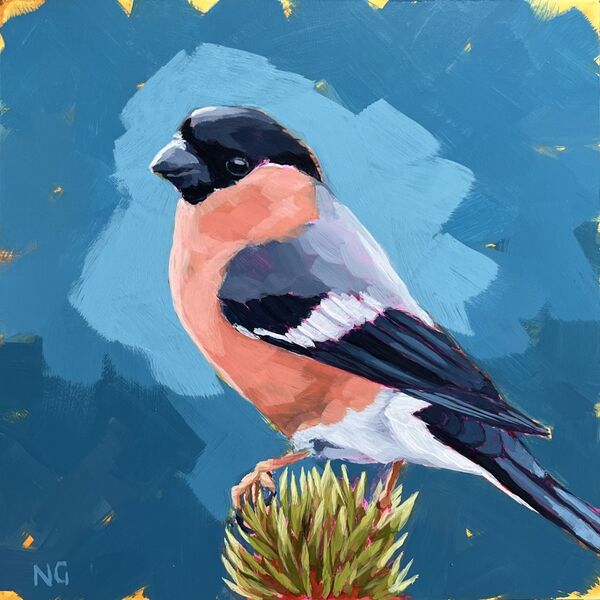 Bullfinch: Poised in Blue