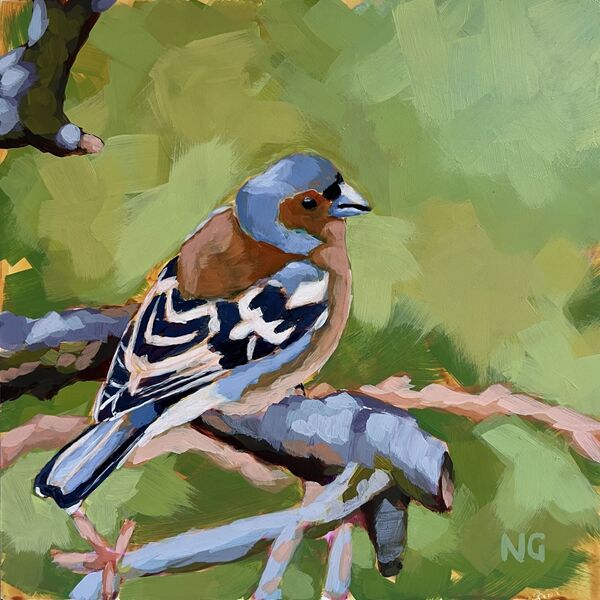 Chaffinch: Perched in Green