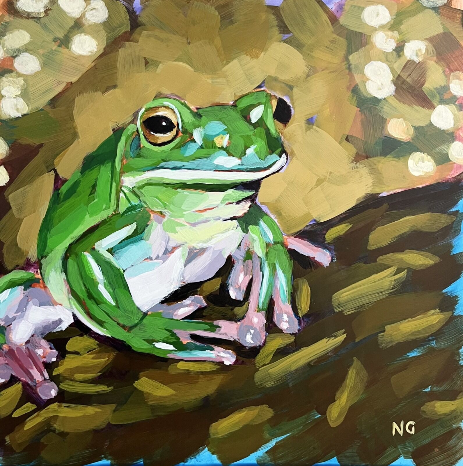 Shimmering Tree Frog