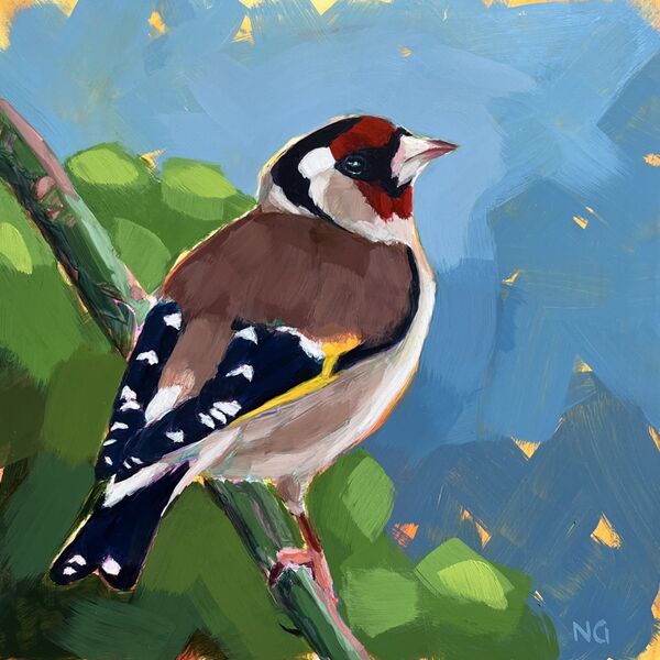 Goldfinch: Flash of Scarlet