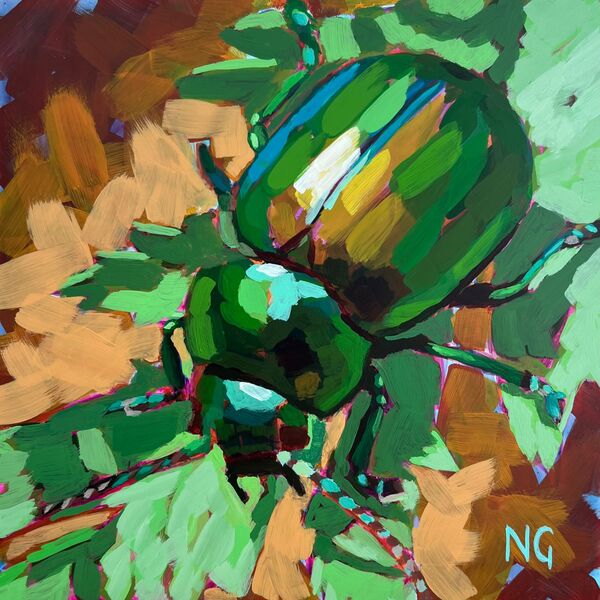 Tansy Beetle: Jewel of York
