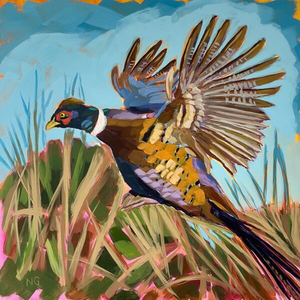 A pheasant flying out of the long grass