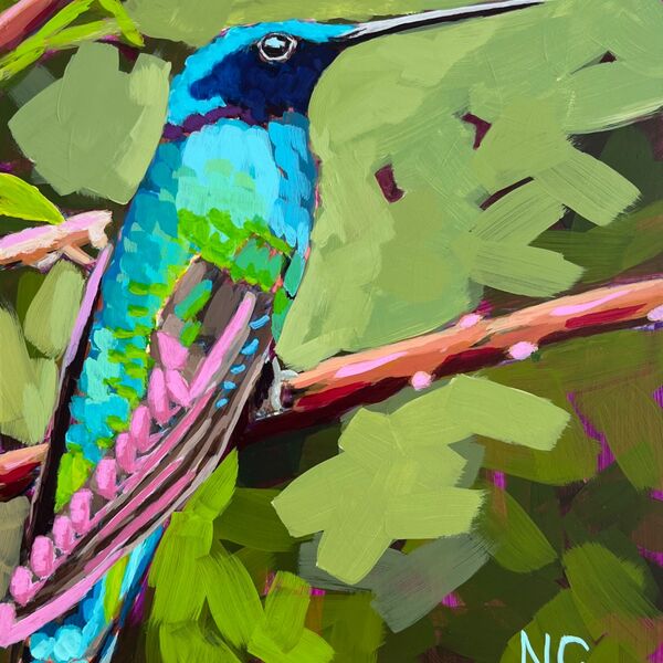 Sparkling Violetear Hummingbird 8”x10”