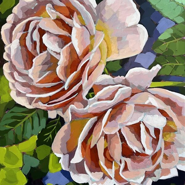 Open Roses