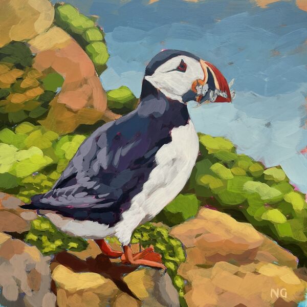 Atlantic Puffin: Catch of the Day