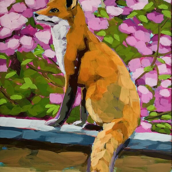 Red Fox: Watcher on the Wall