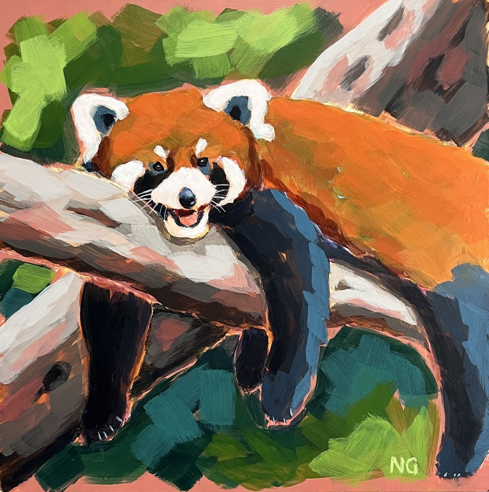 Red Panda