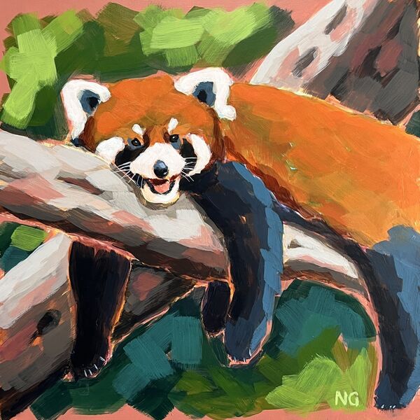 Red Panda