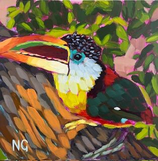 Curl-crested Aracari Toucan