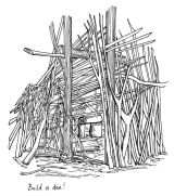 Build a den!