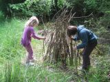 Art in the woods
