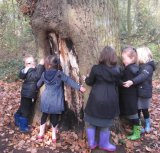 Hugging a tree