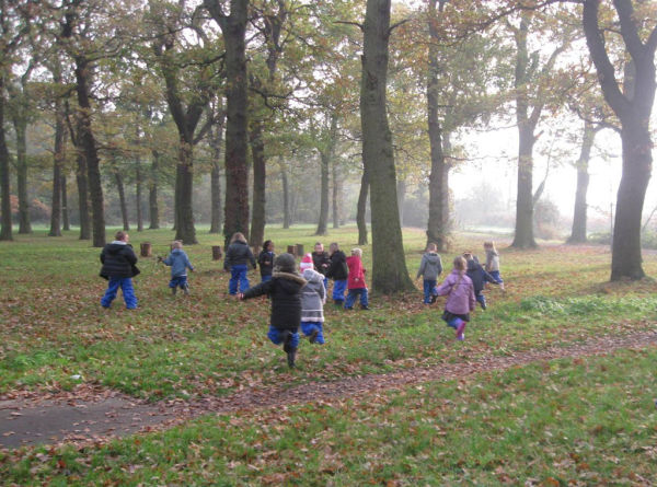Collecting materials in the wood