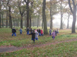 Collecting materials in the wood