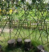 Willow dome