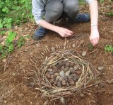 Woodland Art 1