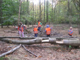 Woodland Play 2
