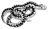 Adder
