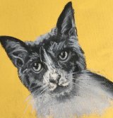 Black & white cat in chalk pastel