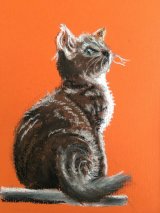 Brown kitten in chalk pastel