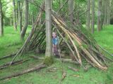 Reffley Wood - Den building