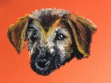 Floppy eared brown puppy in chalk pastel