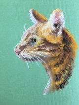 Ginger cat profile in chalk pastel