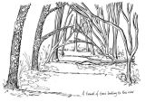 Tunne of trees
