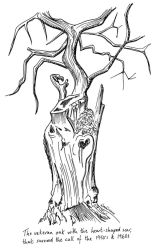 Veteran oak with a heart