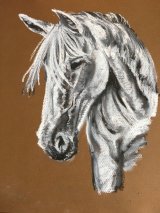 White horse in chalk pastel White horse in chalk pastels
