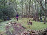 Den building workshop