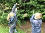Making magic in the wood