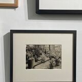 tyntesfield greenhouse