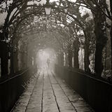 Birdcage Walk, Clifton