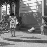 Walking the dog