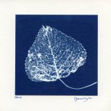 Cyanotype