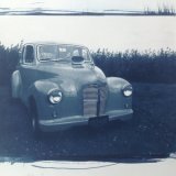 Cyanotype toned with coffee
